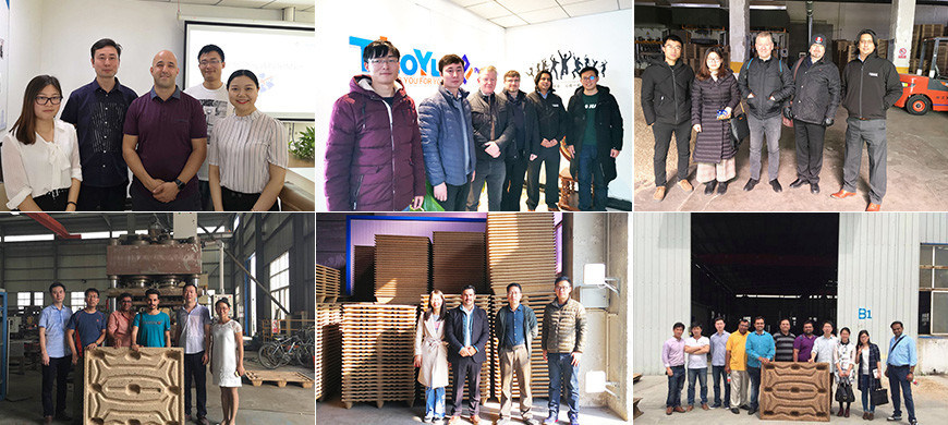 Zhengzhou ThoYu Mechanical & Electrical Equipment CO.,LTD.